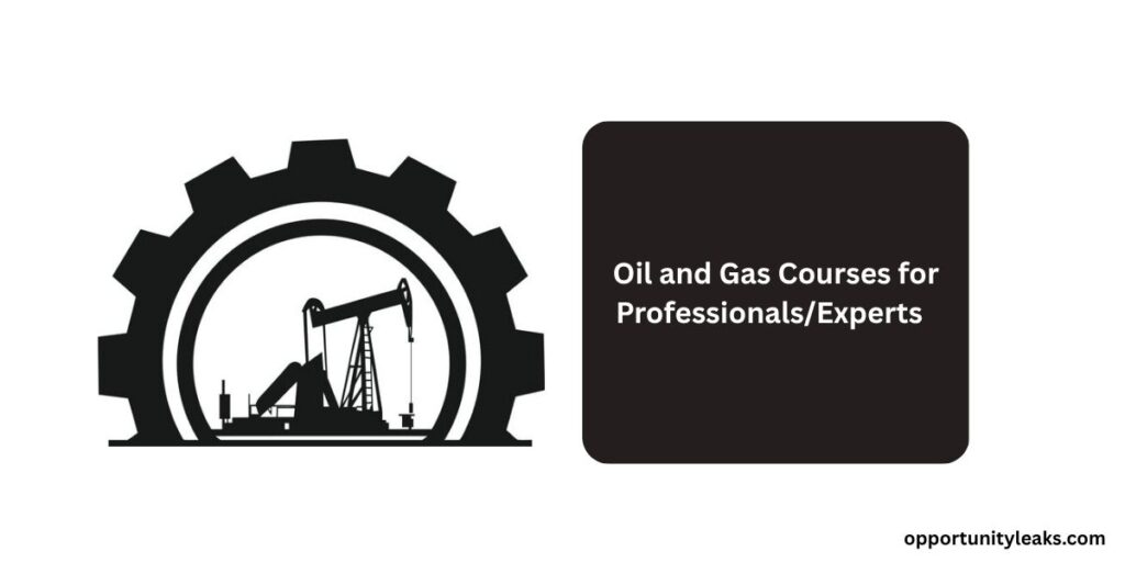 Oil and Gas Courses for Professionals/Experts
