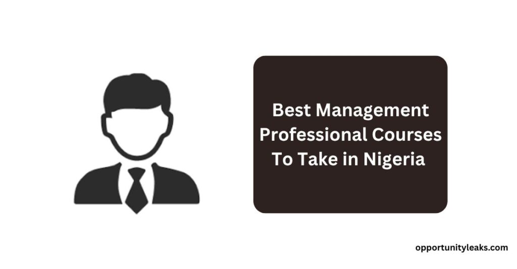Best Management Professional Courses in Nigeria